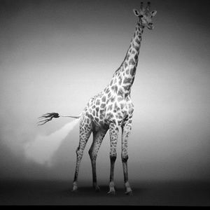 Meet your Posher, Braden